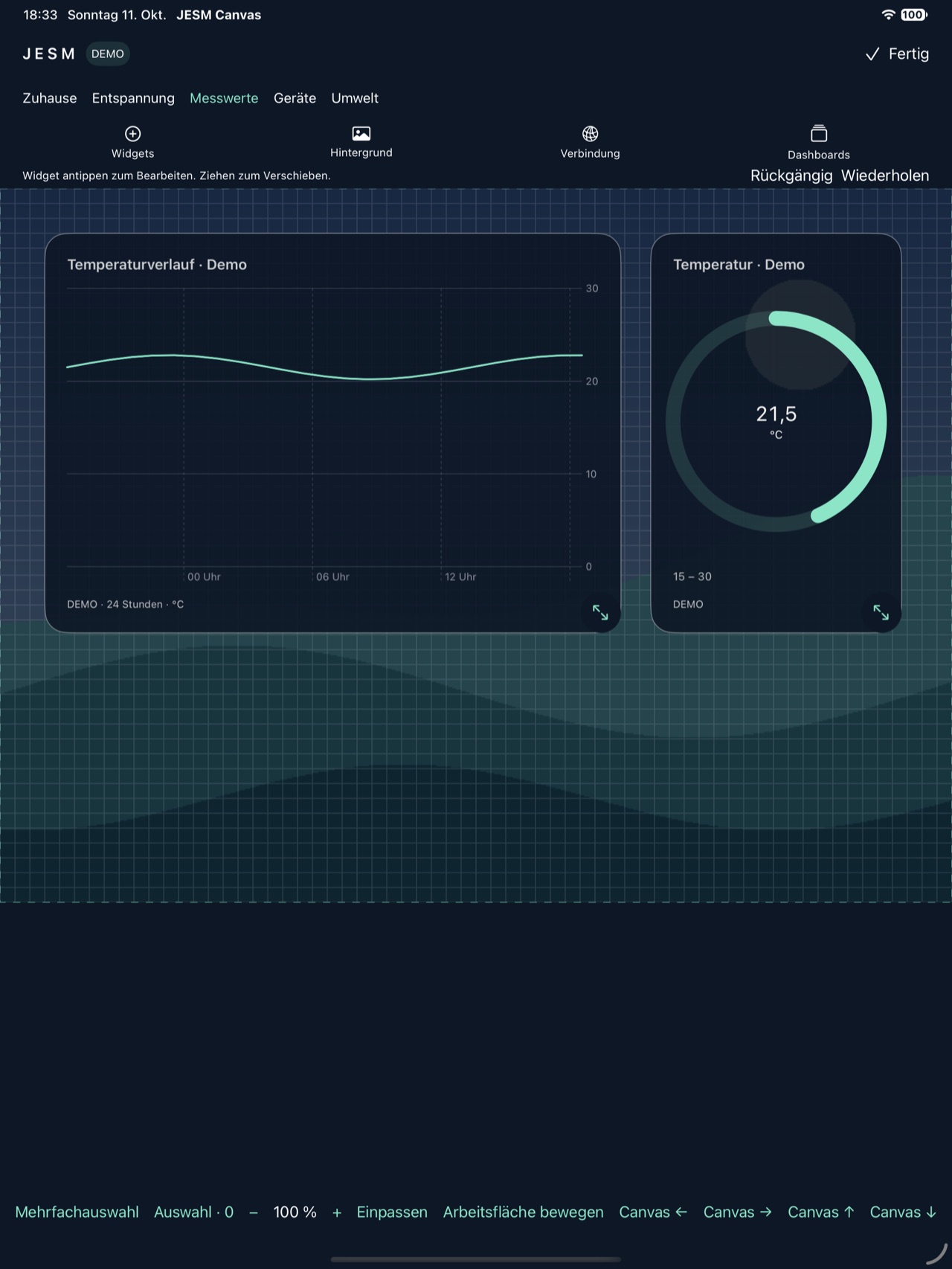 Echter iPad-Editor-Screenshot mit Demo-Daten